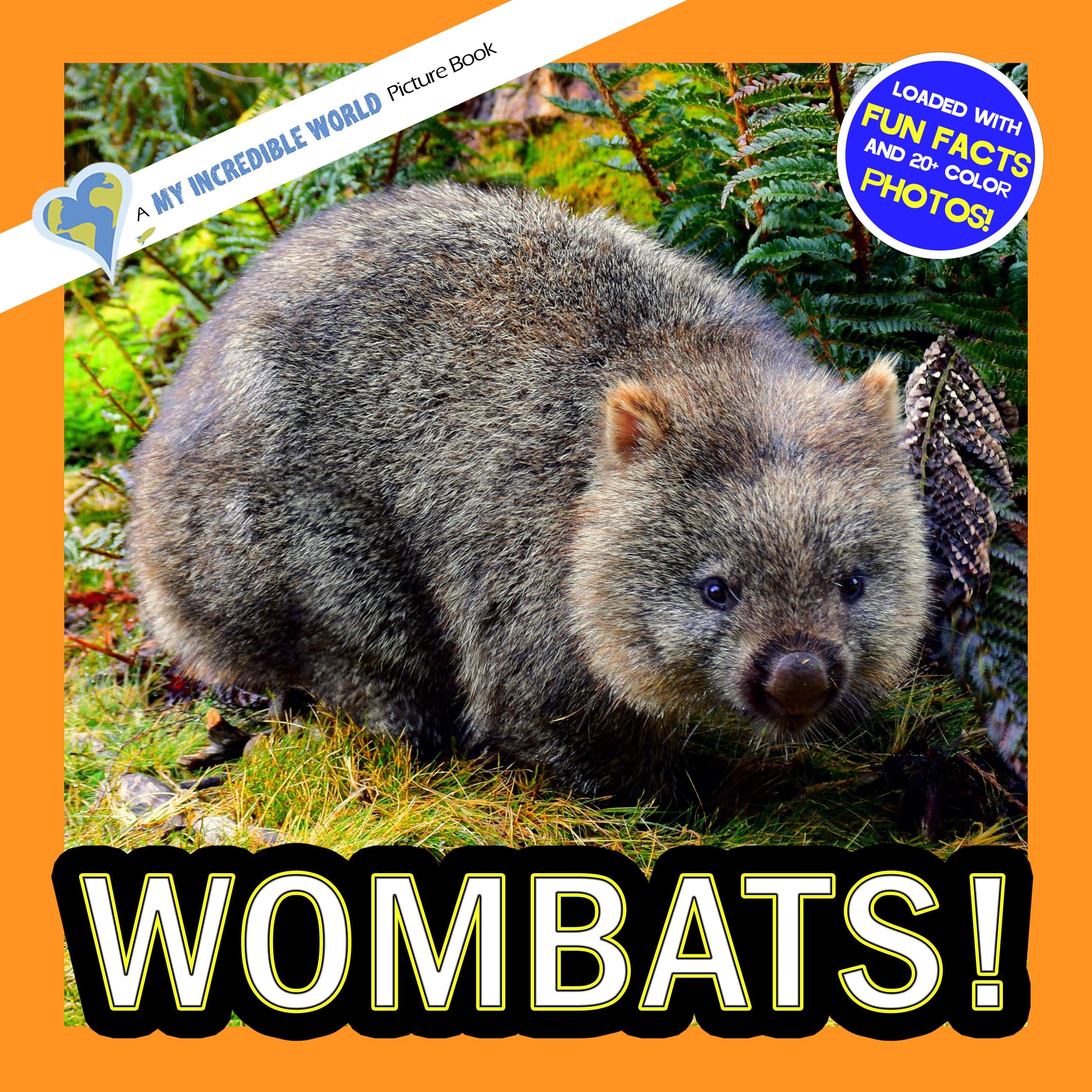 Wombats! A My Incredible World Picture Book for Children